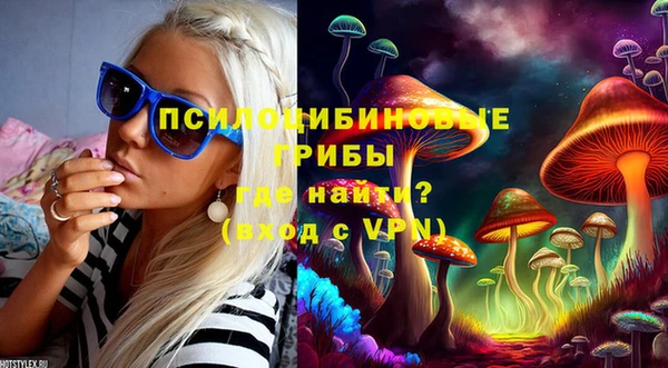 первитин Протвино